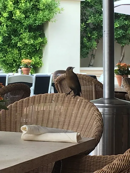 The Lobby Grill Picture 10