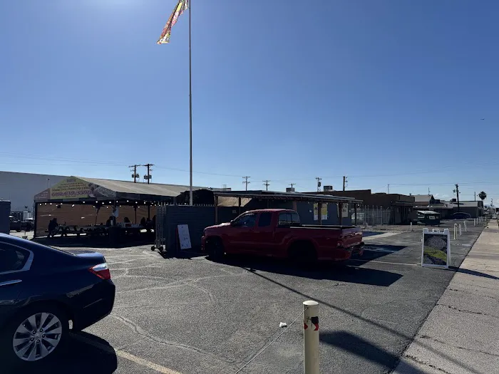 Taco's Lila Picture 3