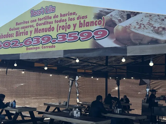 Taco's Lila Picture 2