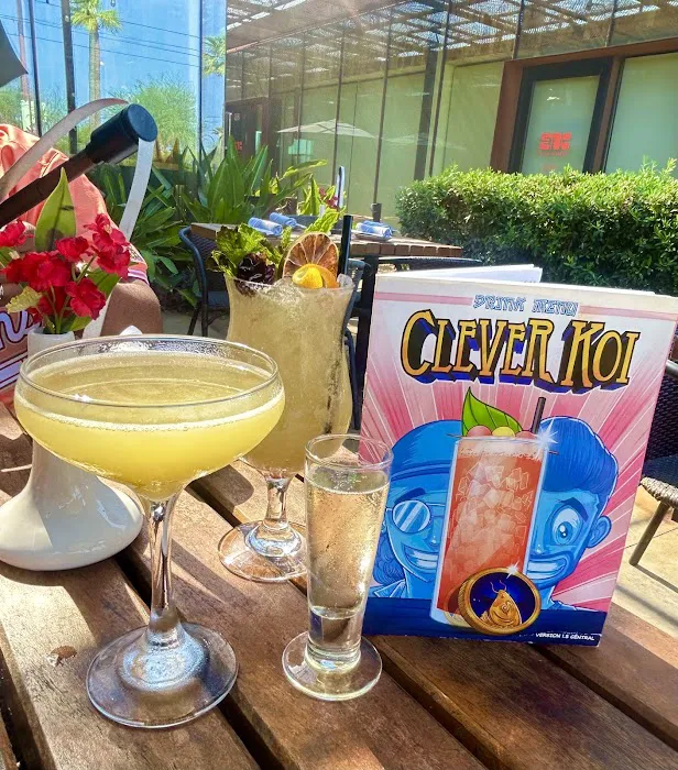 Clever Koi Picture 5