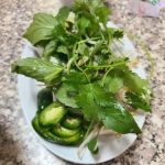 Phở Noodles