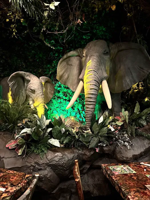 Rainforest Cafe Picture 4