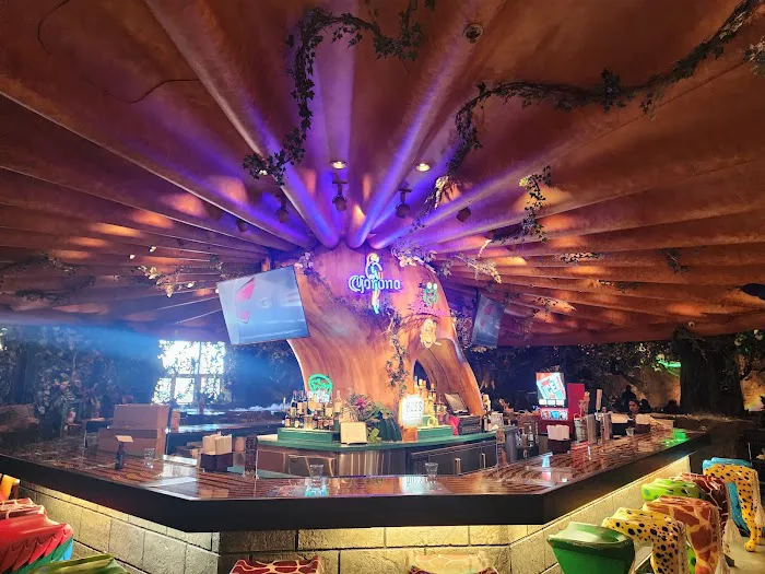 Rainforest Cafe Picture 5
