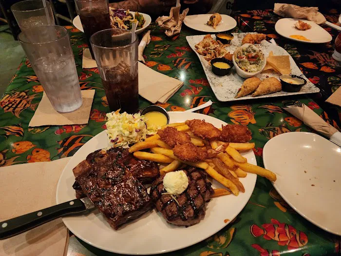 Rainforest Cafe Picture 7