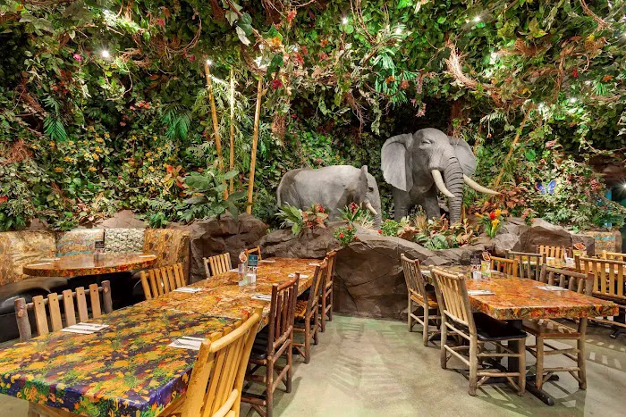 Rainforest Cafe Picture 8