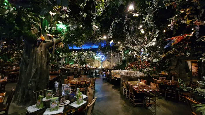 Rainforest Cafe Picture 3