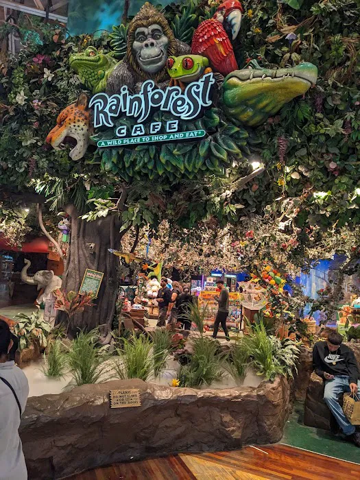 Rainforest Cafe Picture 10
