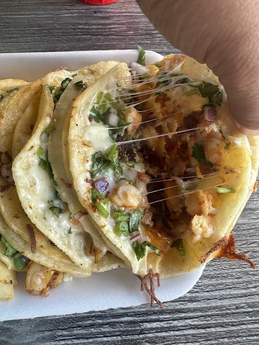 Taqueria Obson Picture 9