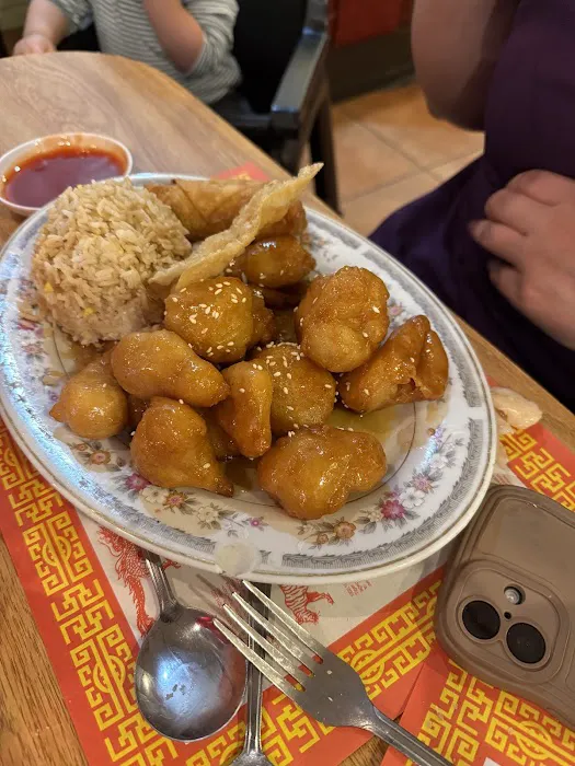 Little Dragon Chinese Restaurant Picture 6