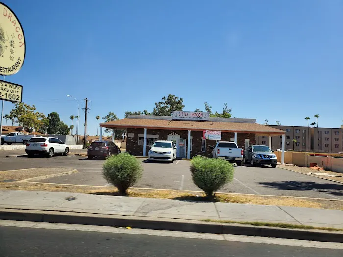 Little Dragon Chinese Restaurant Picture 4