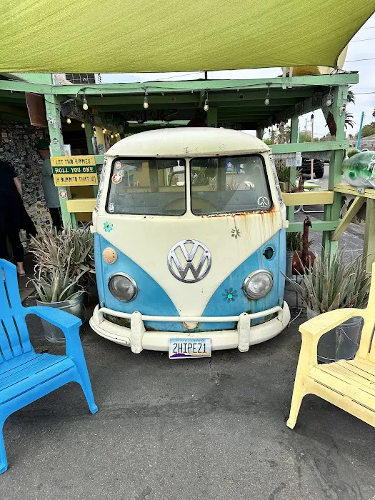 The Beach House Picture 8