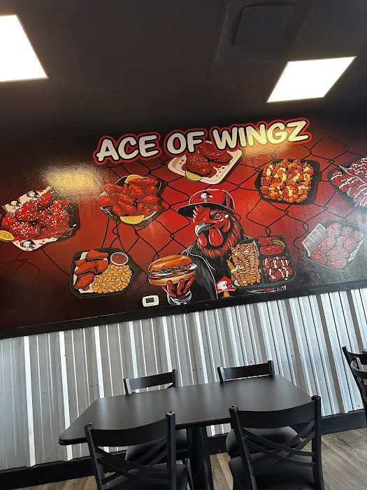 Ace of Wingz Picture 2