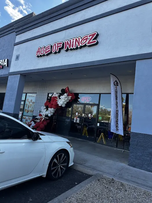 Ace of Wingz Picture 5