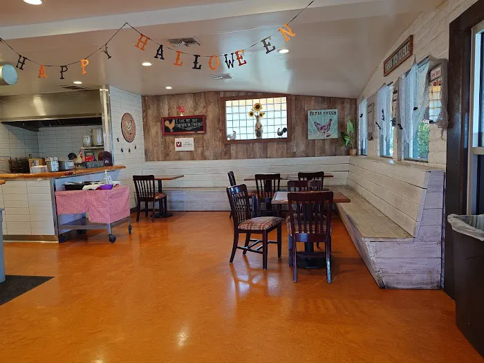 Mrs. Chicken Picture 9