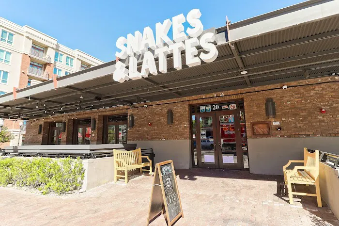 Snakes & Lattes Tempe Picture 10