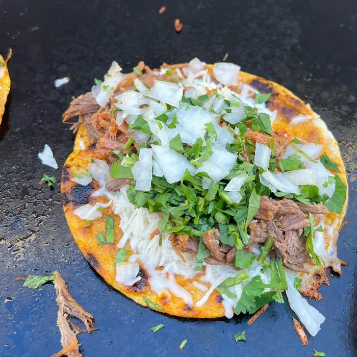 Las gorditas Picture 6