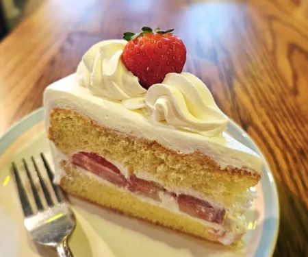 Cherryblossom Noodle cafe