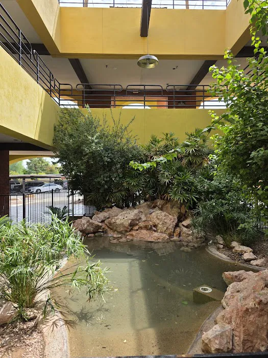 Adela's Italian Restaurant Picture 9