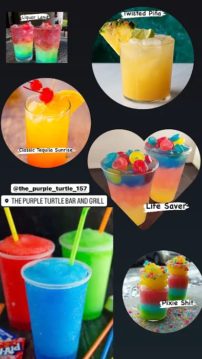 Purple Turtle Picture 5