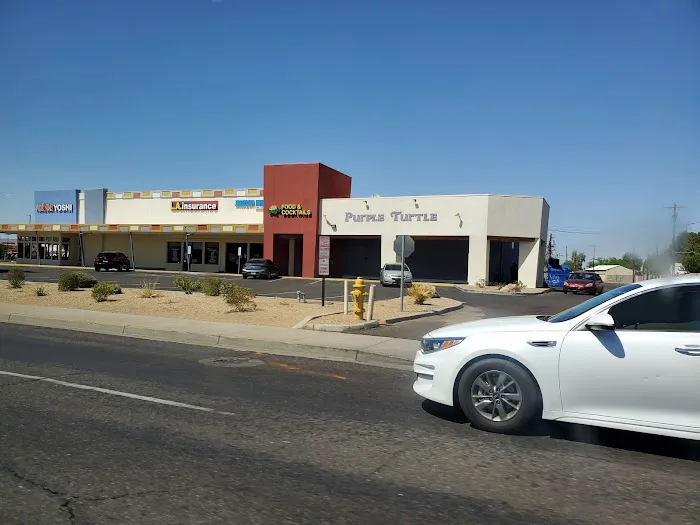 Purple Turtle Picture 1