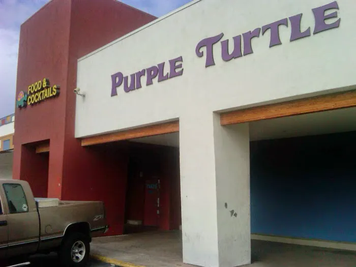 Purple Turtle Picture 4