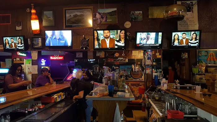 Purple Turtle Picture 2