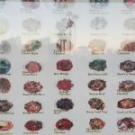 Good China Restaurant