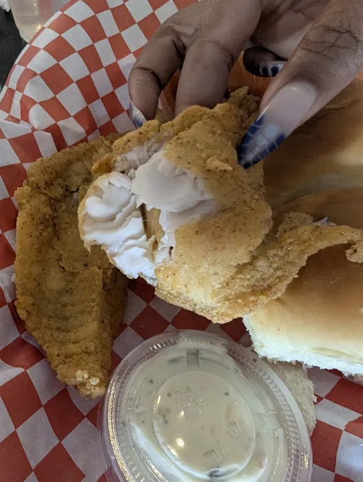 Twin Locos Picture 3