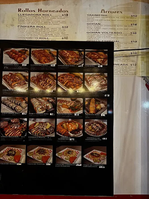 Suchi Mocorito Picture 4