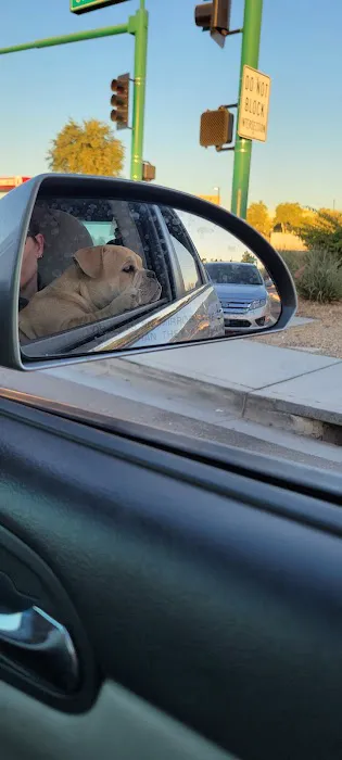 Jack in the Box Picture 5