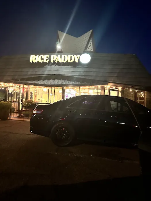 Rice Paddy Picture 5