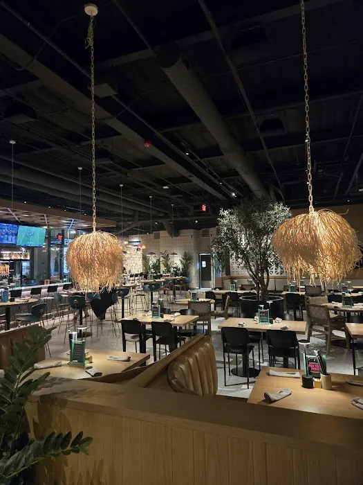 Electric Pickle Picture 6