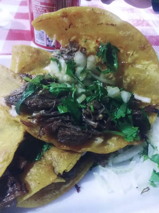 El Jalii Taco Picture 4