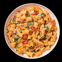 Noodles and Company ico