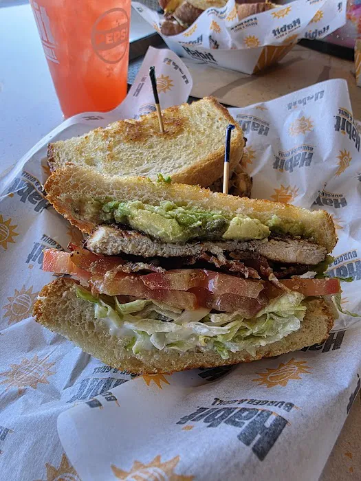 Habit Burger & Grill Picture 3
