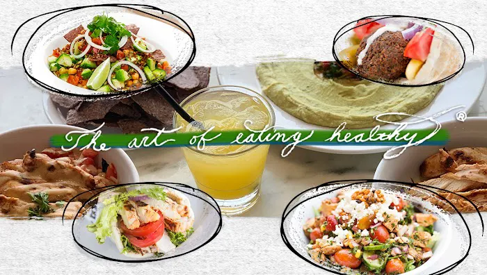 Pita Jungle Picture 5