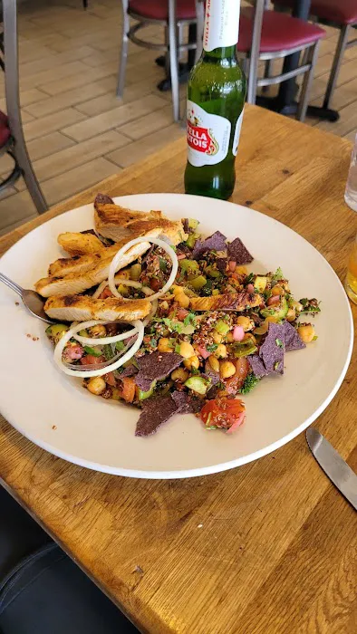 Pita Jungle Picture 3