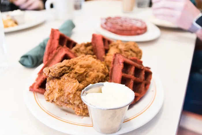 The Normal Restaurant and Bar Picture 6