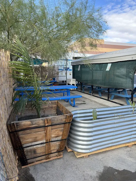 Mariscos Delpacifico Picture 10