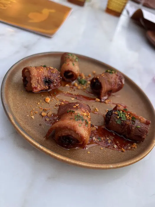 Pink Dolphin Picture 10