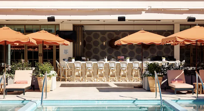 Pink Dolphin Picture 5