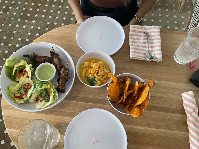 Pink Dolphin Picture 7