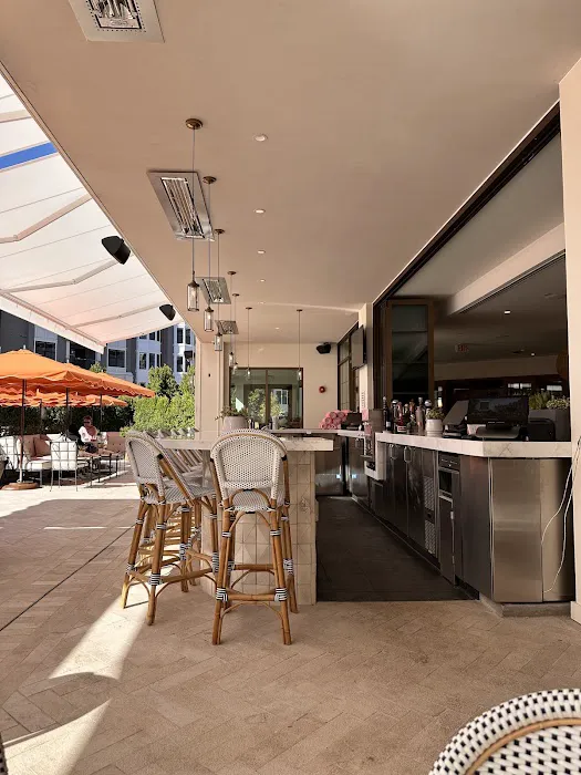 Pink Dolphin Picture 8