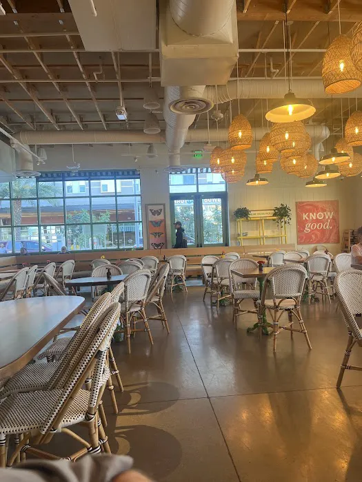 Flower Child Picture 6