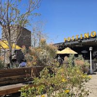 Postino South Tempe ico