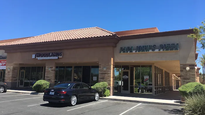 Woodlands Vegetarian South Indian Kitchen Picture 5