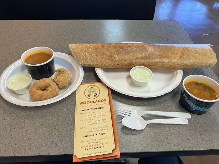 Woodlands Vegetarian South Indian Kitchen Picture 4