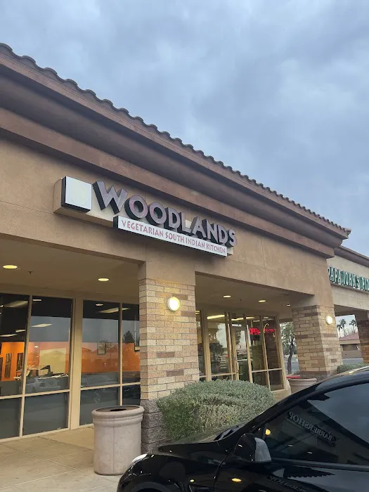 Woodlands Vegetarian South Indian Kitchen Picture 6