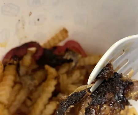 Pardon My Cheesesteak