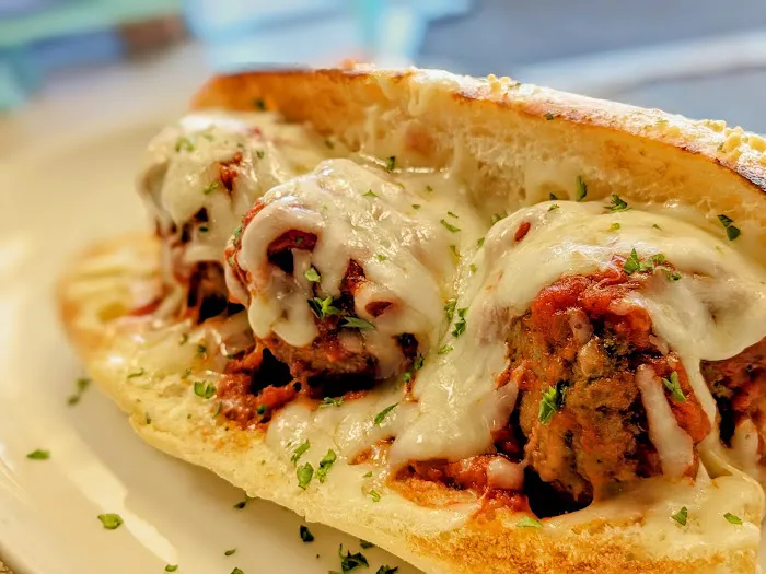 Spaghetti Shark Picture 8